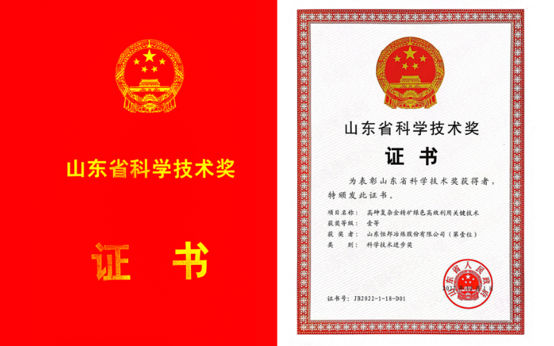 山東省科學(xué)技術(shù)獎一等獎